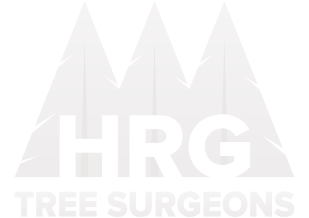 HRG Logo White